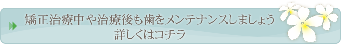 矯正治療中や治療後も歯をメンテナンスしましょう 詳しくはコチラ